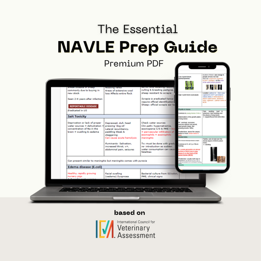 NAVLE Essentials Study Guide 2024 | Digital + Printable